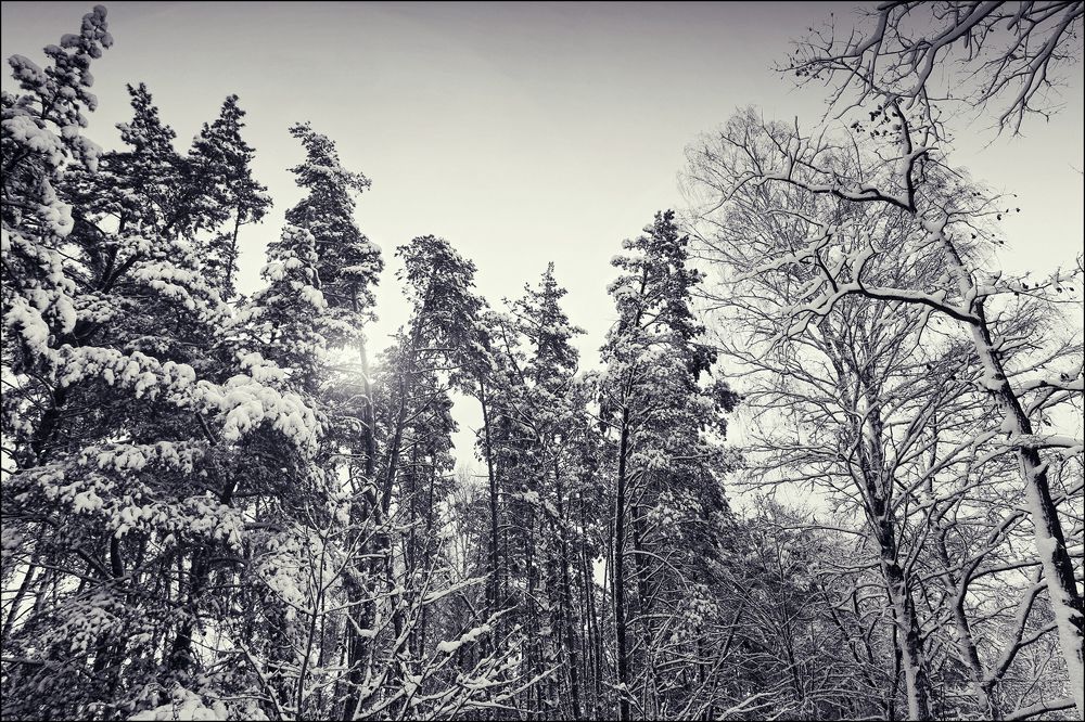 ---= winter about =---