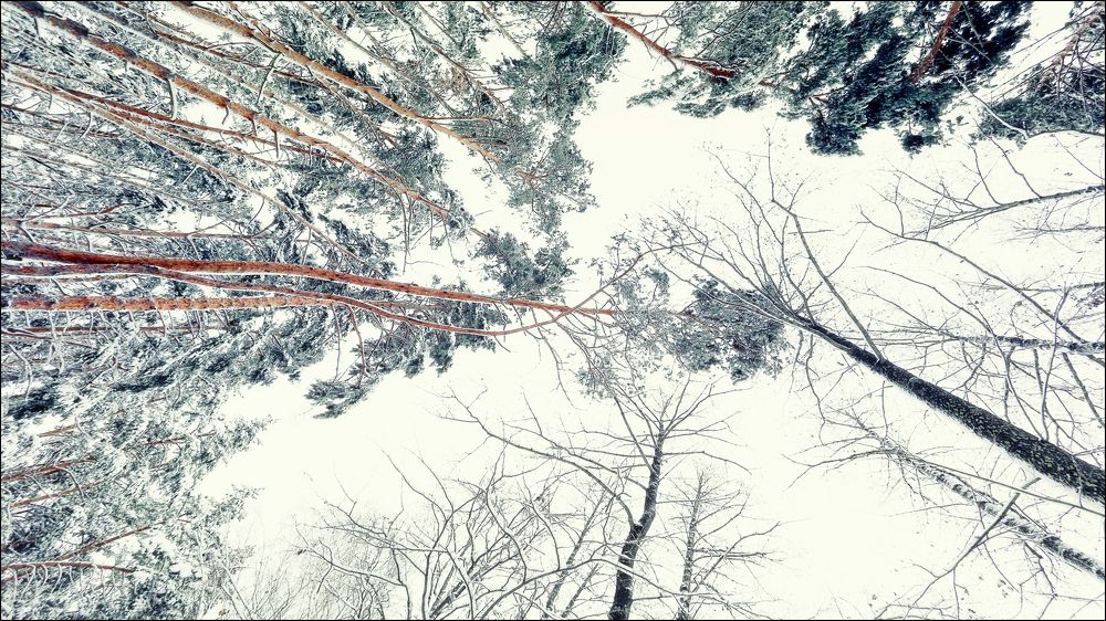 ---= winter about =---