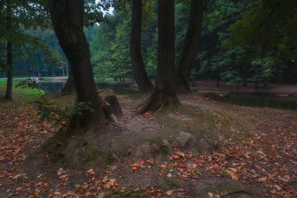 Раннее утро в парке последнего летнего дня