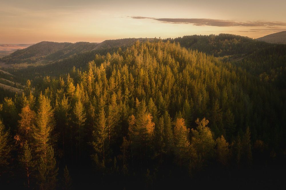 Природа России