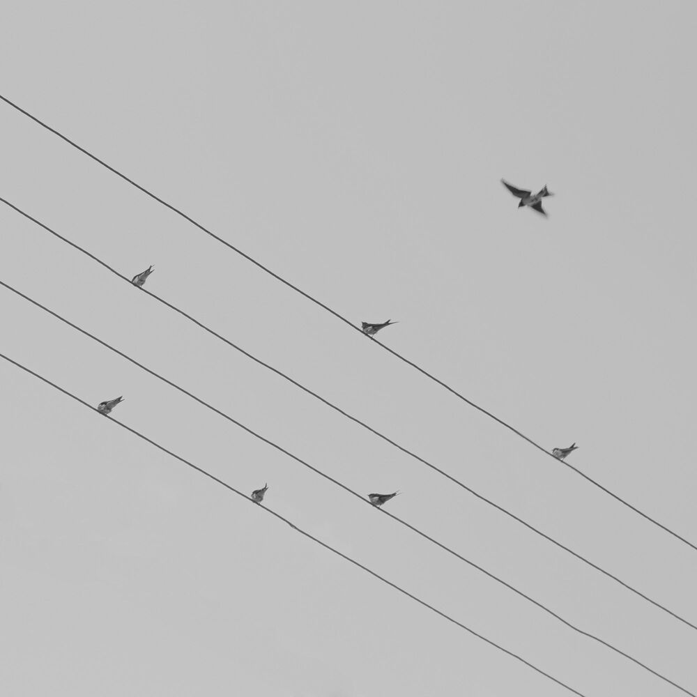 Mohib Ali Photography; simple geometry of life.