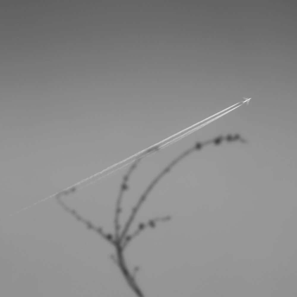 Mohib Ali Photography; simple geometry of life.
