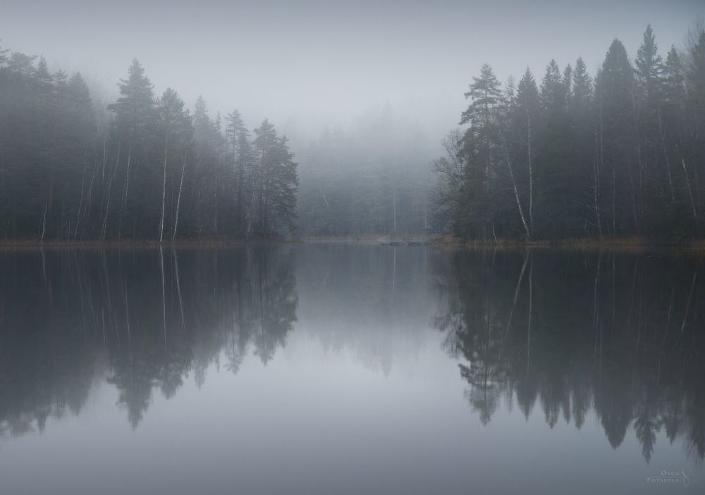 Сказка северного леса