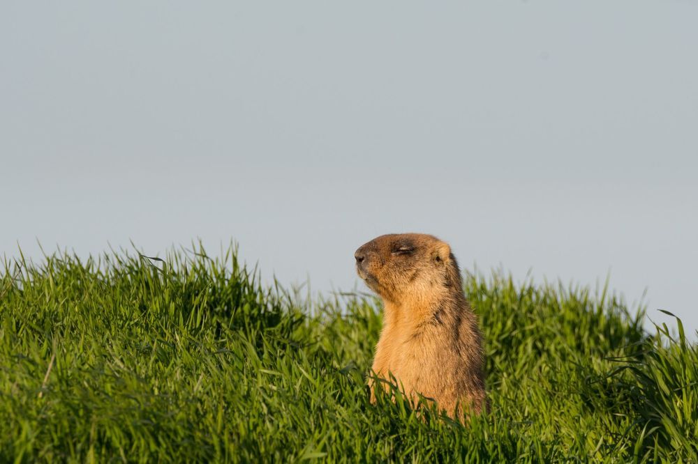Photo 1536067