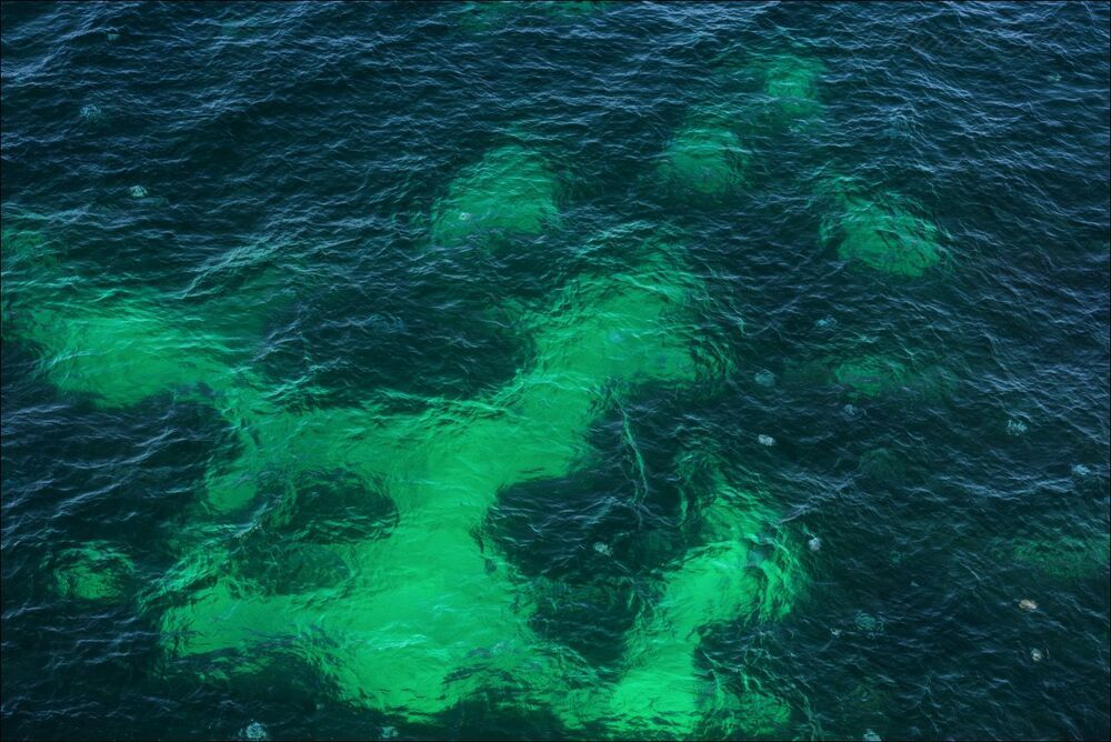 В водах Чёрного моря ...