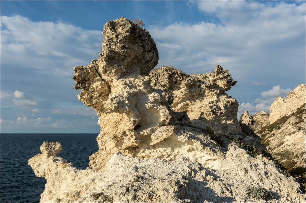 Вечно смотрящие