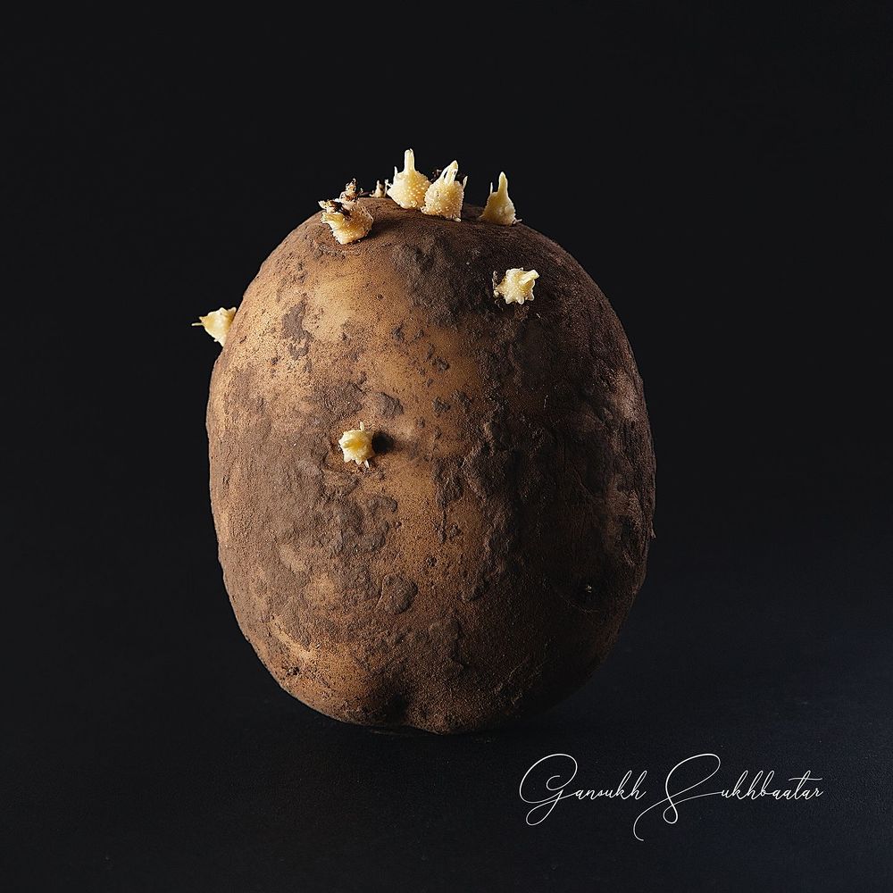 Potato