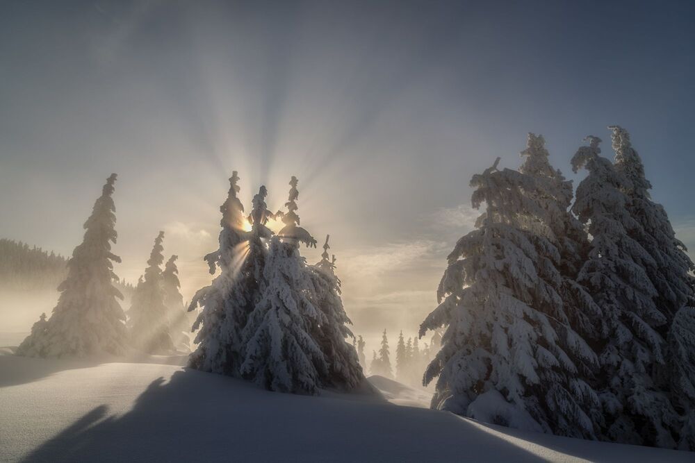 my landscapes shots