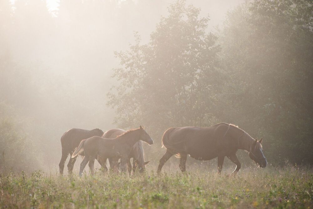 Photo 1537948