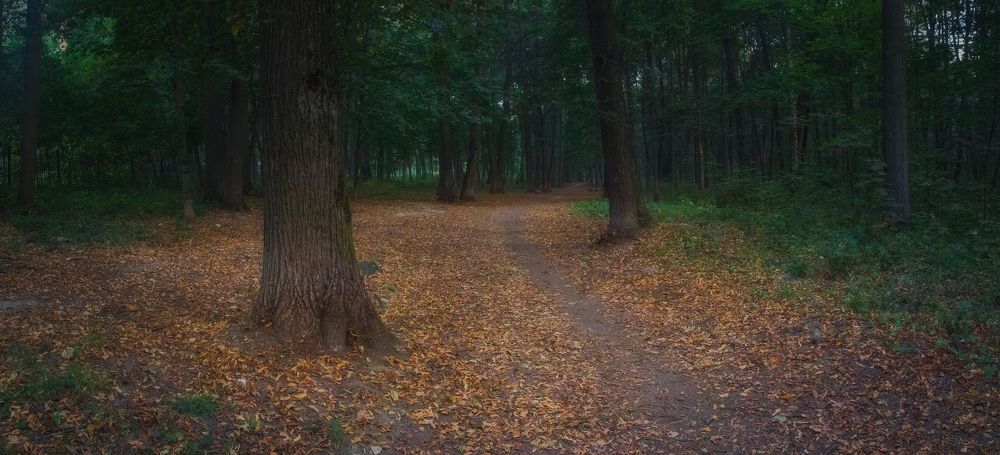 Парк. Начало осени.