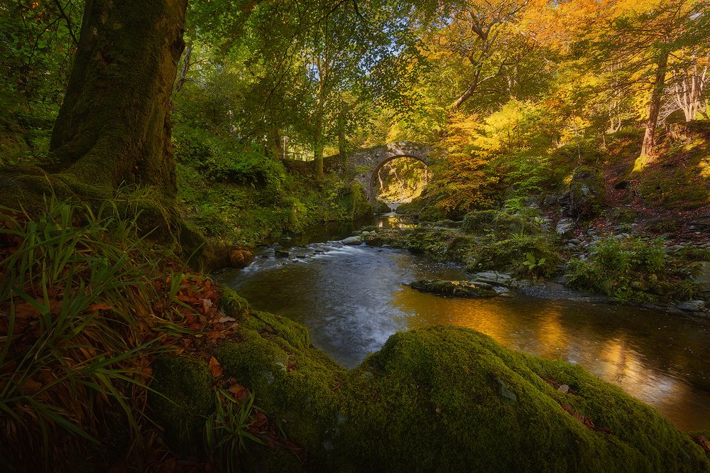 Autumn in Ireland