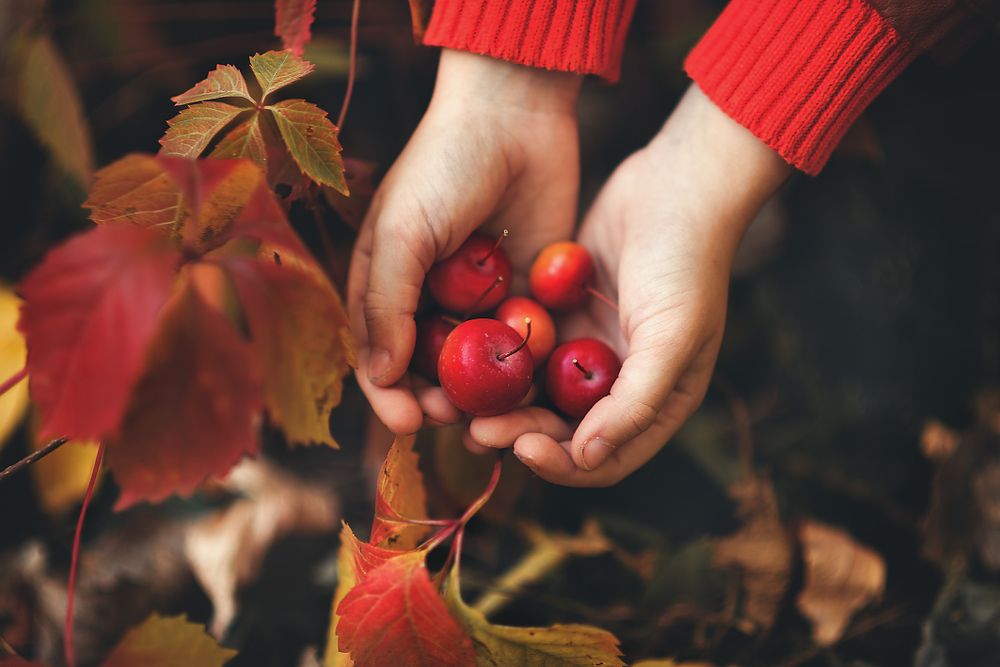 Autumn mood!