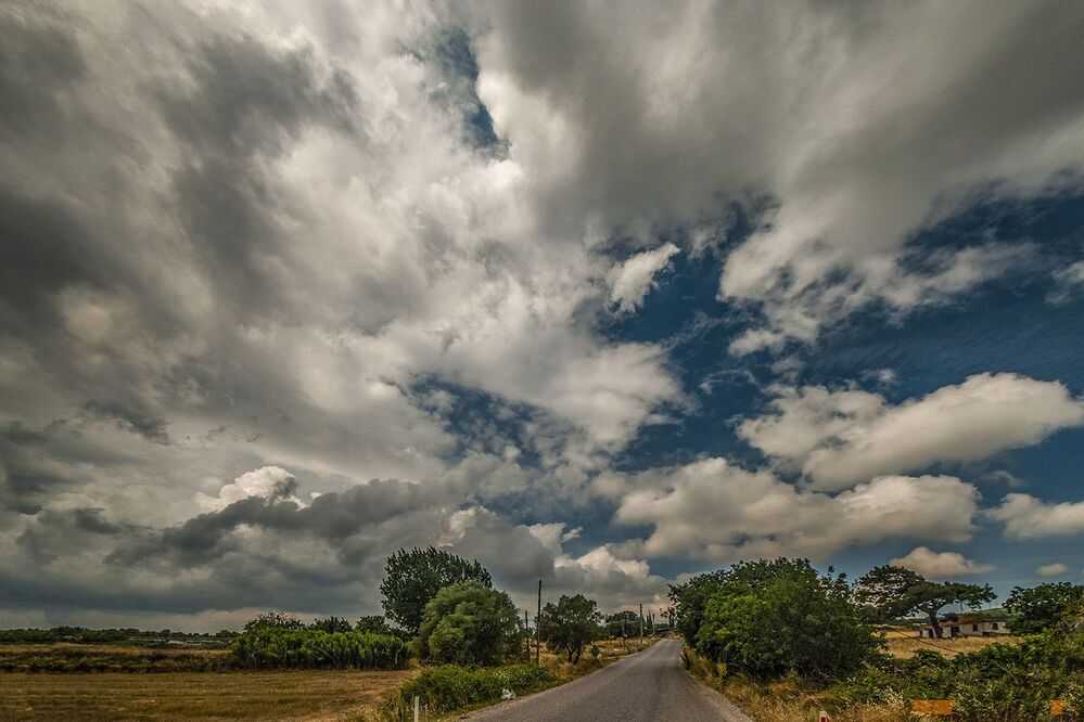 clouds&trees