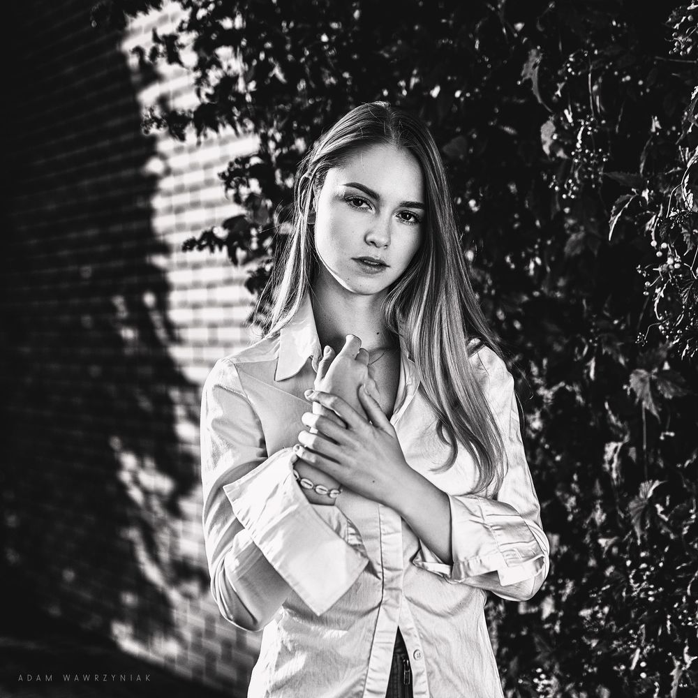 Photo 1540876
