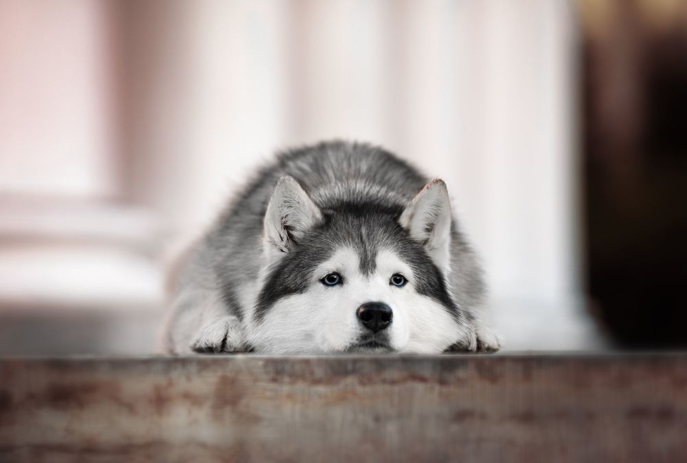 Photo 1541394