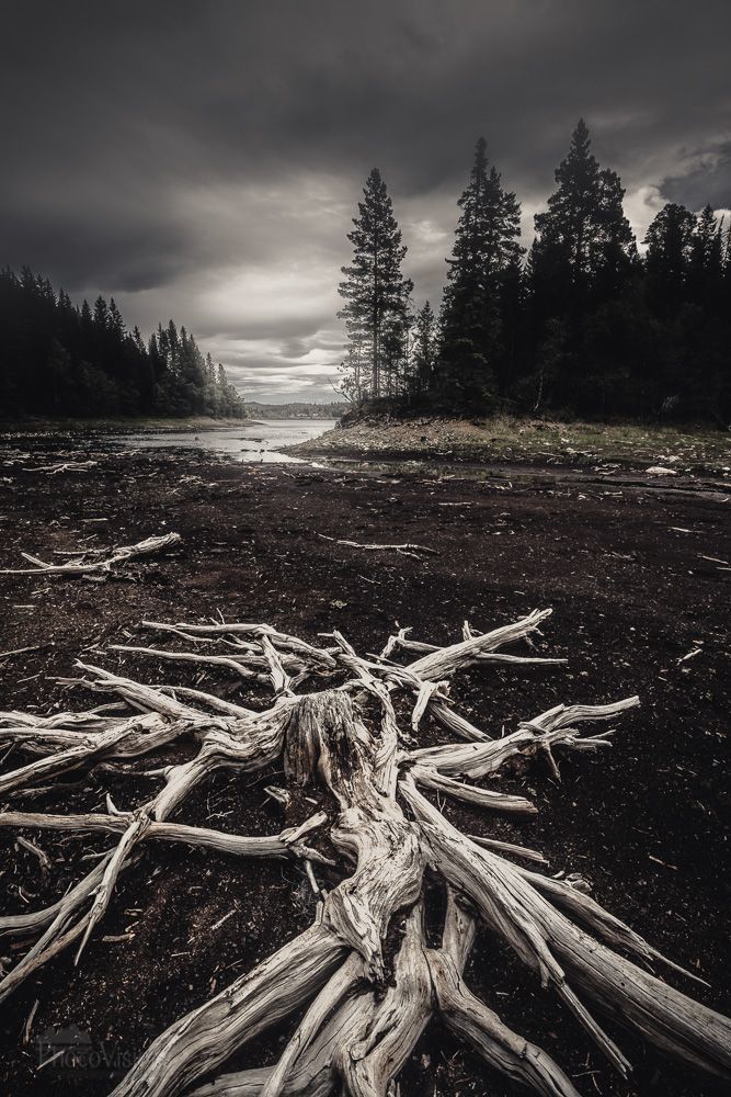 State of decay