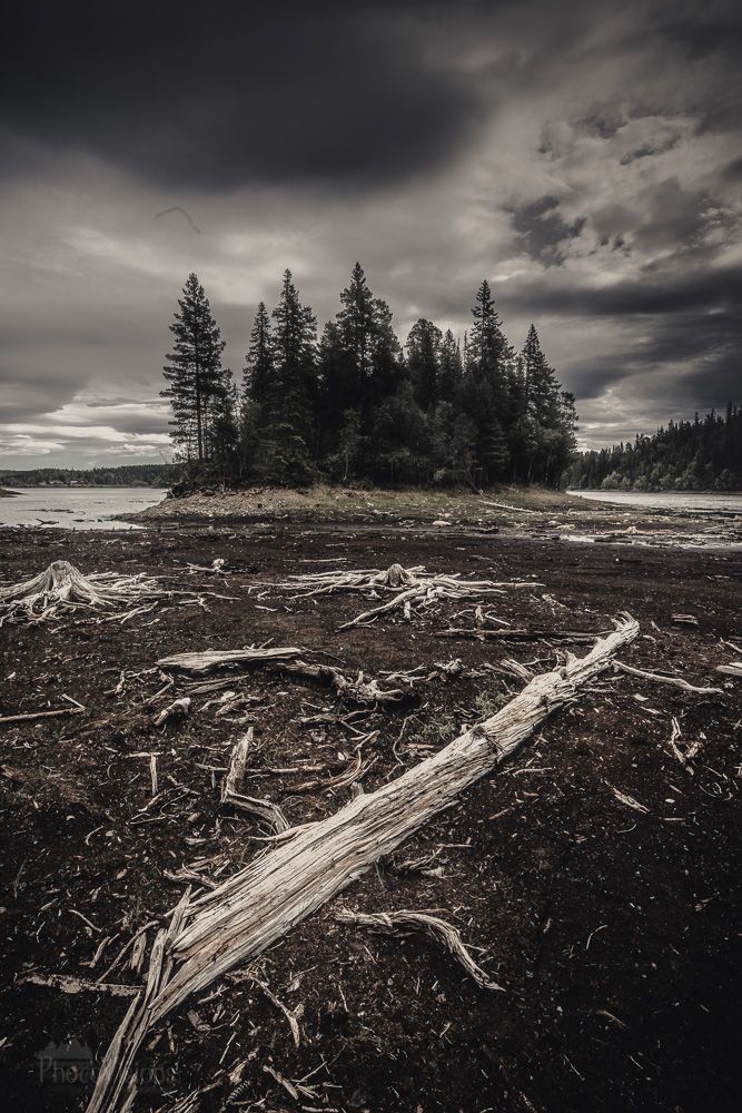 State of decay