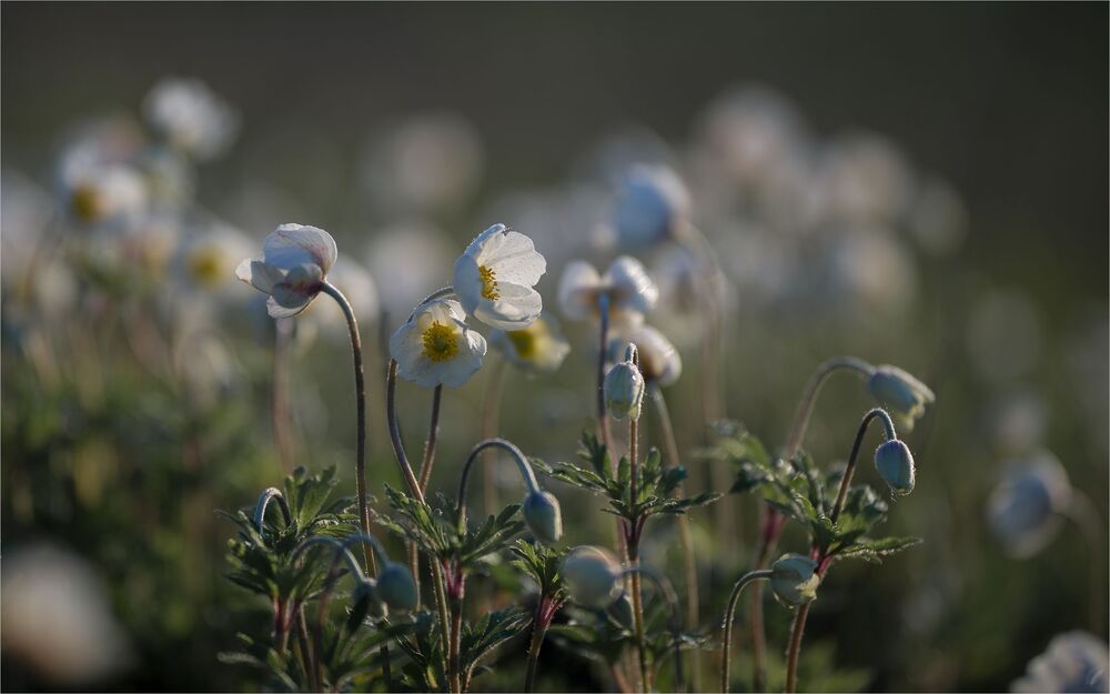 about the tenderness of spring...