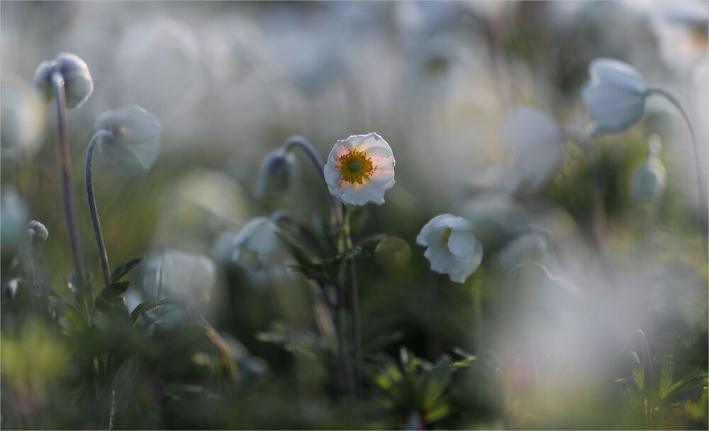 about the tenderness of spring...