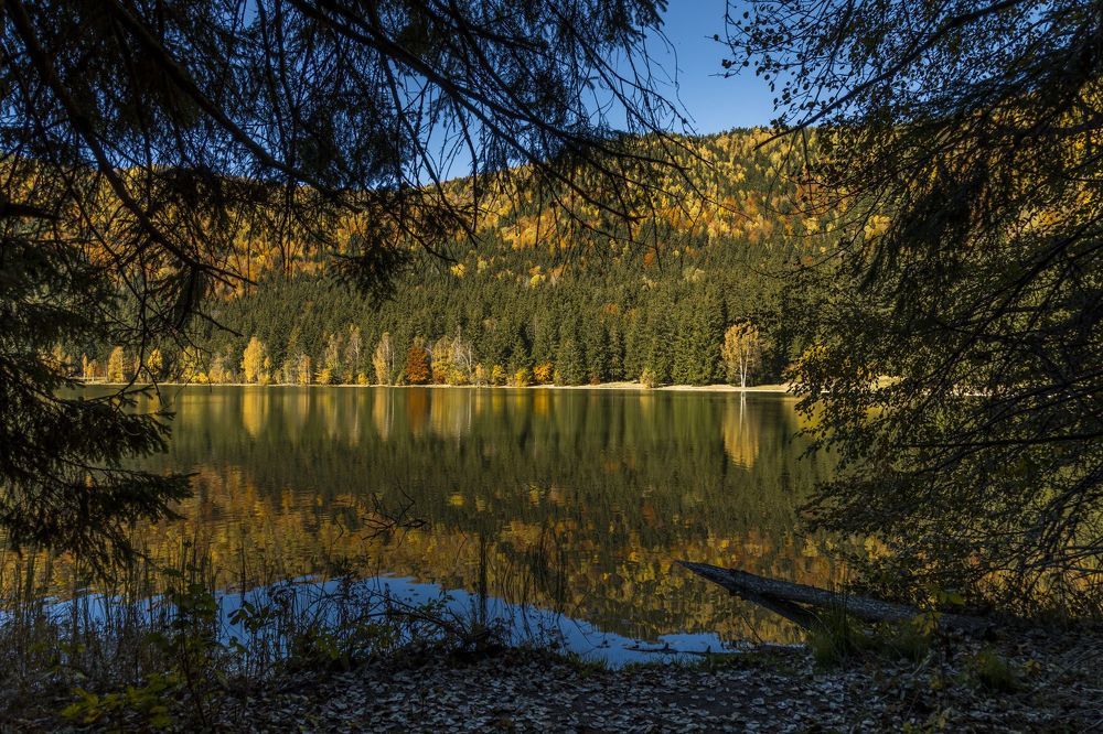 The autumn