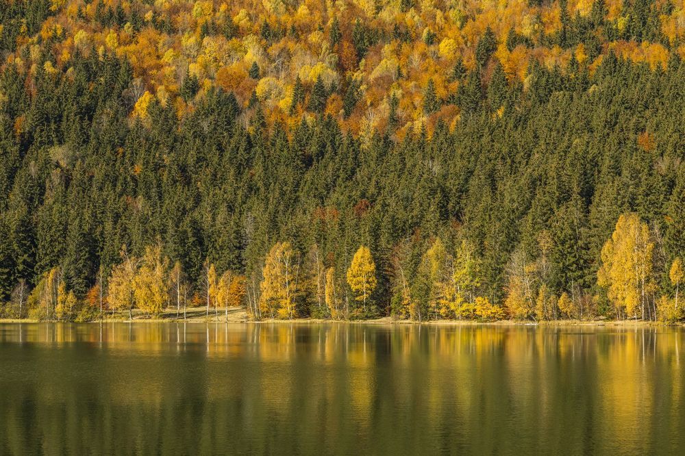 The autumn