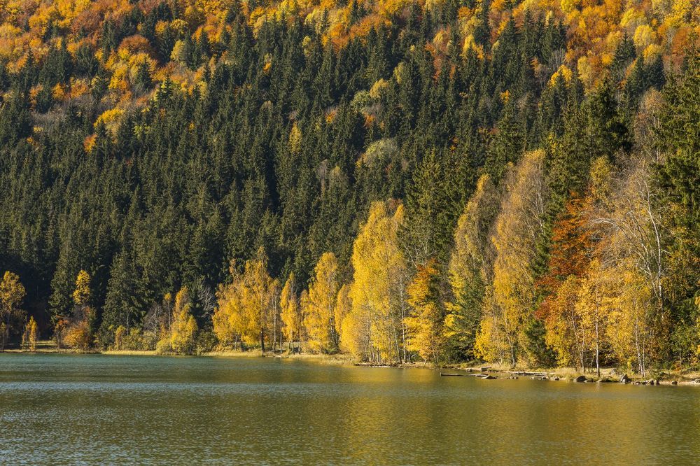The autumn