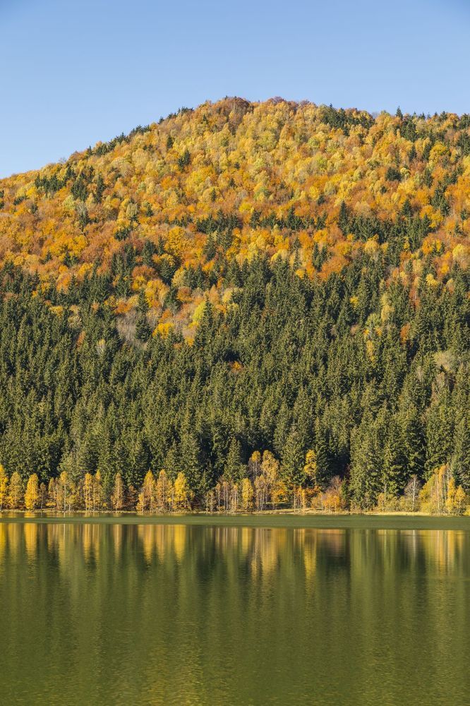 The autumn