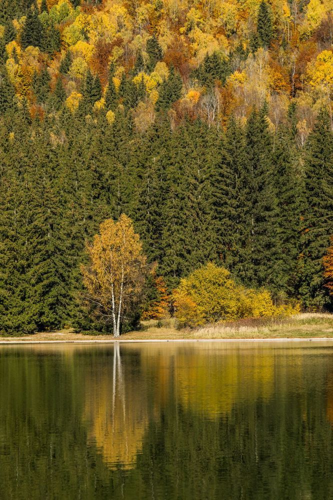 The autumn
