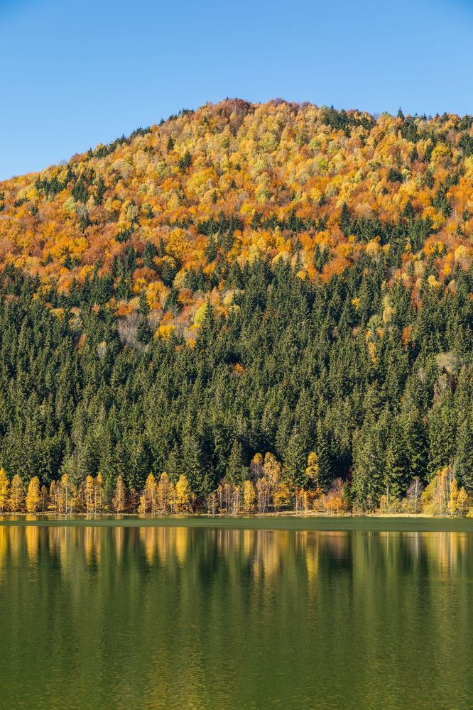The autumn
