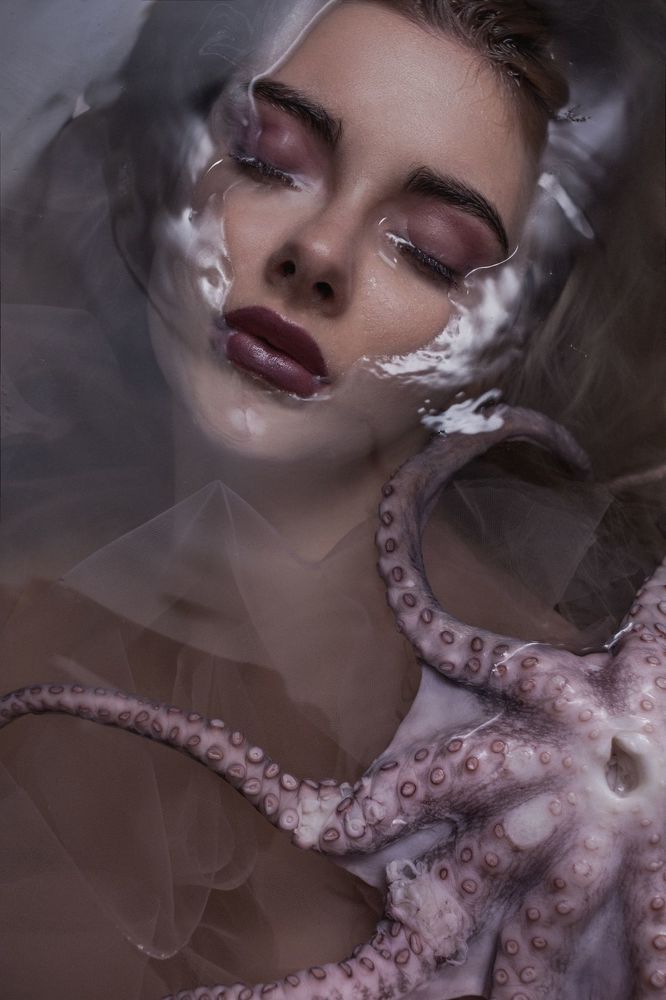 octopus