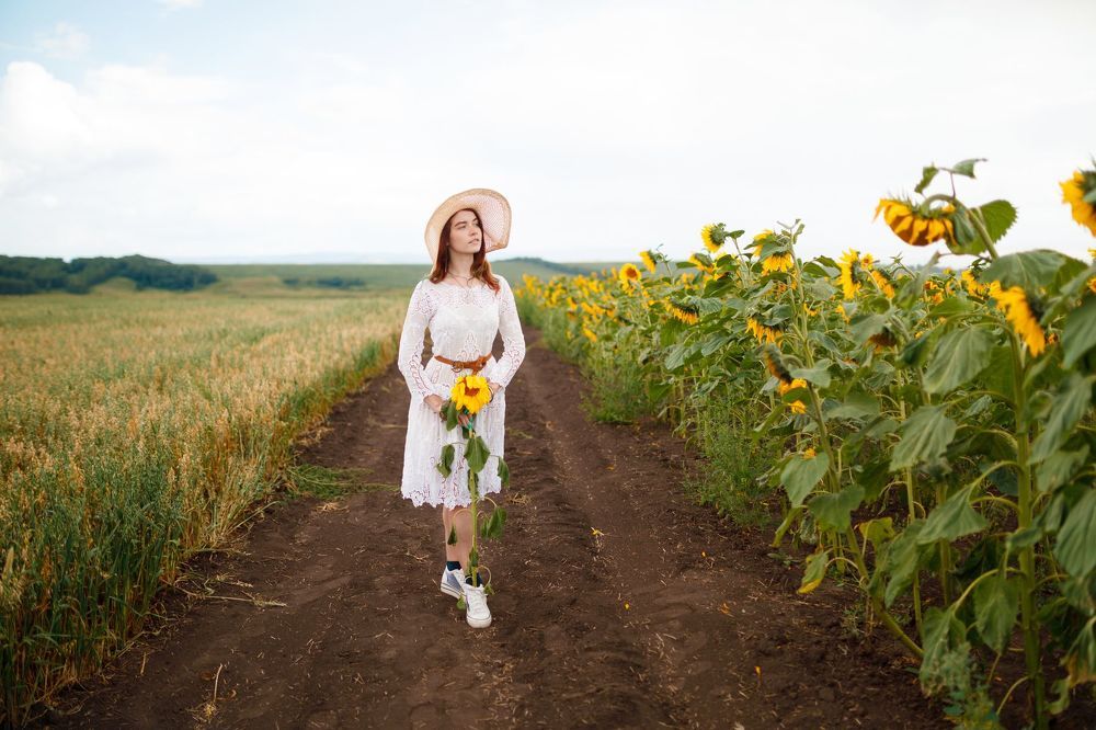 Подсолнухи