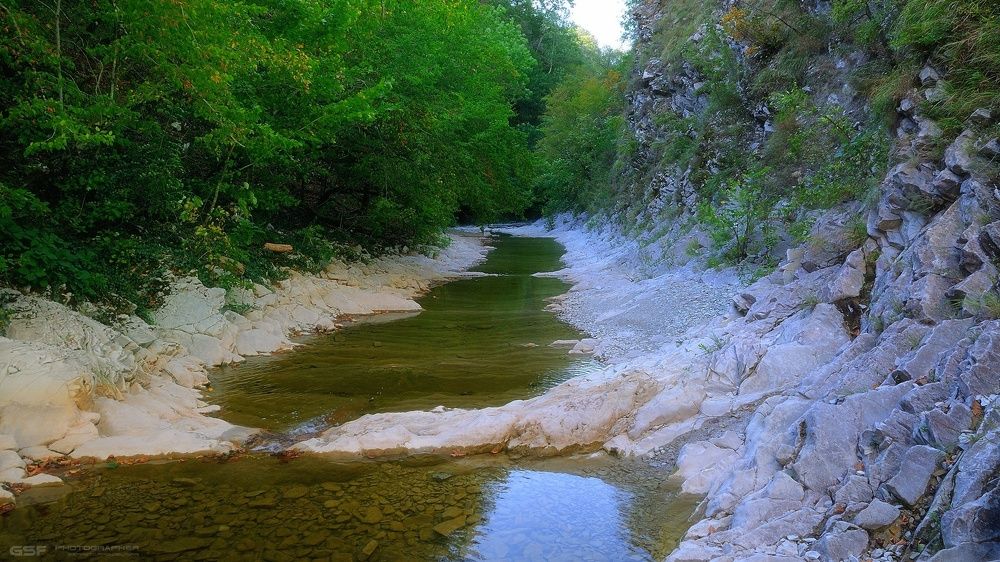прогулка по реке