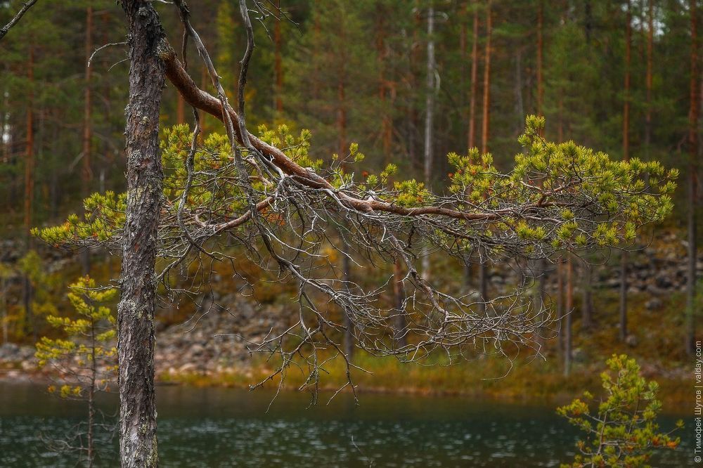 Карелия