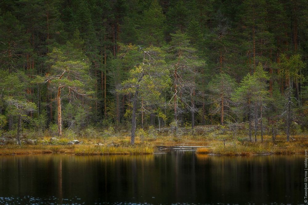 Карелия
