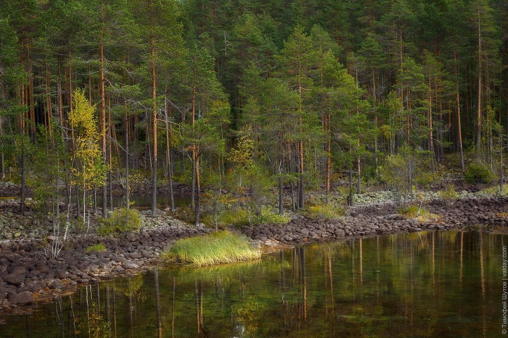 Карелия