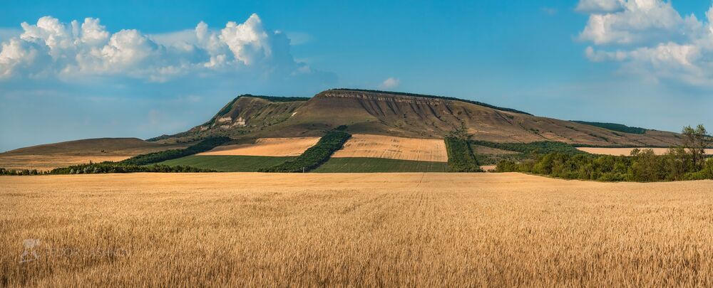 Гора Брык. Самая высокая точка Ставропольской возвышенности.