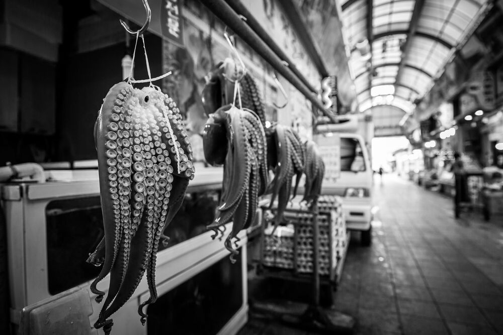 Octopus