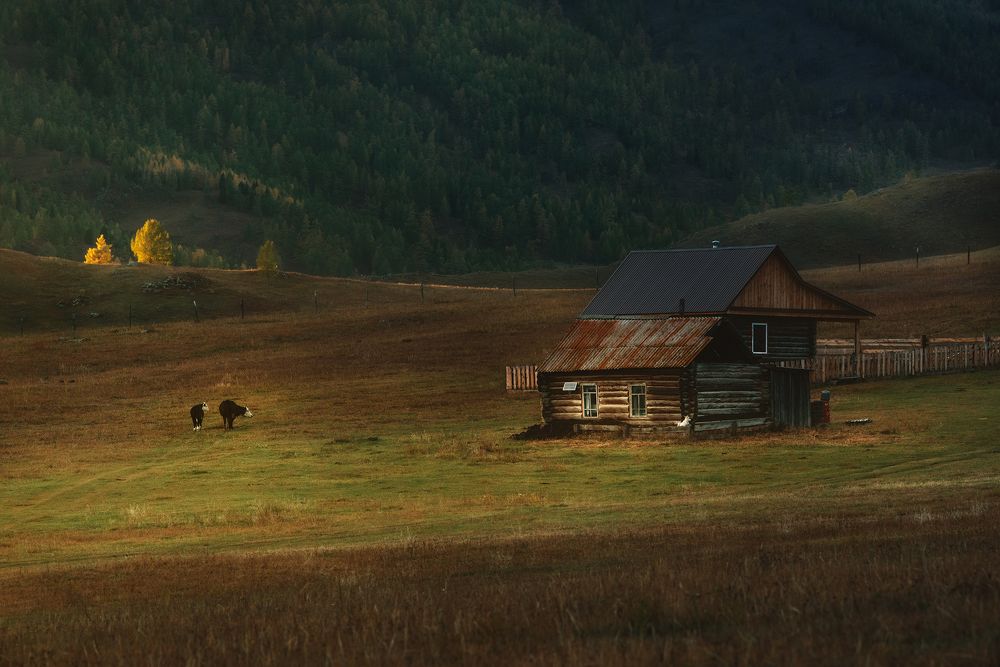 Алтай