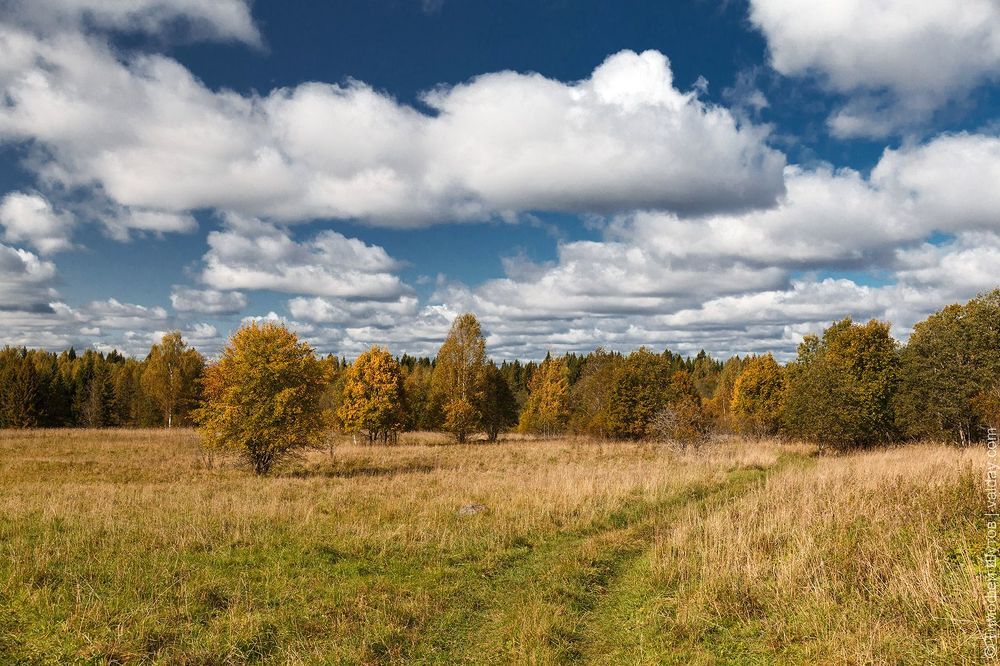 Деревенские осенние мотивы