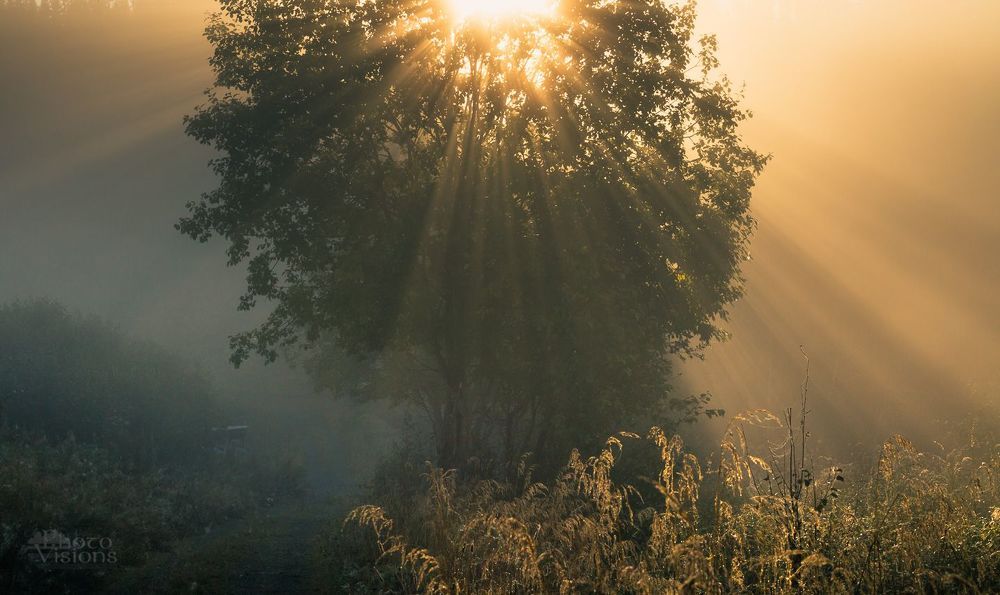 Morning light show