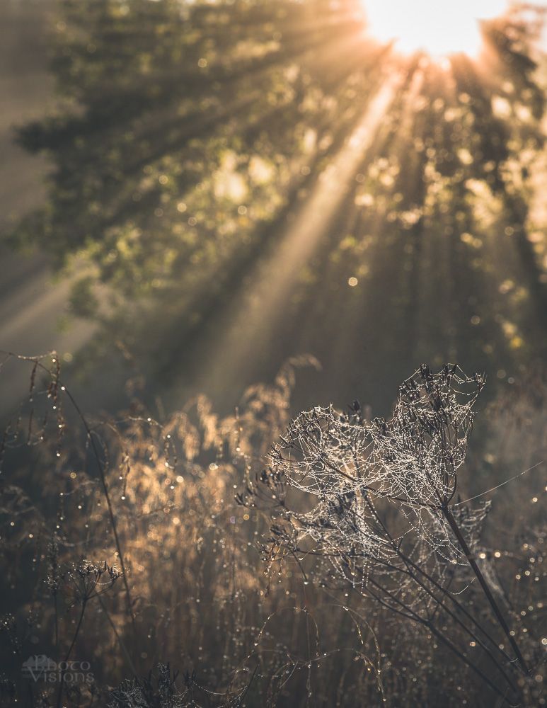 Morning light show