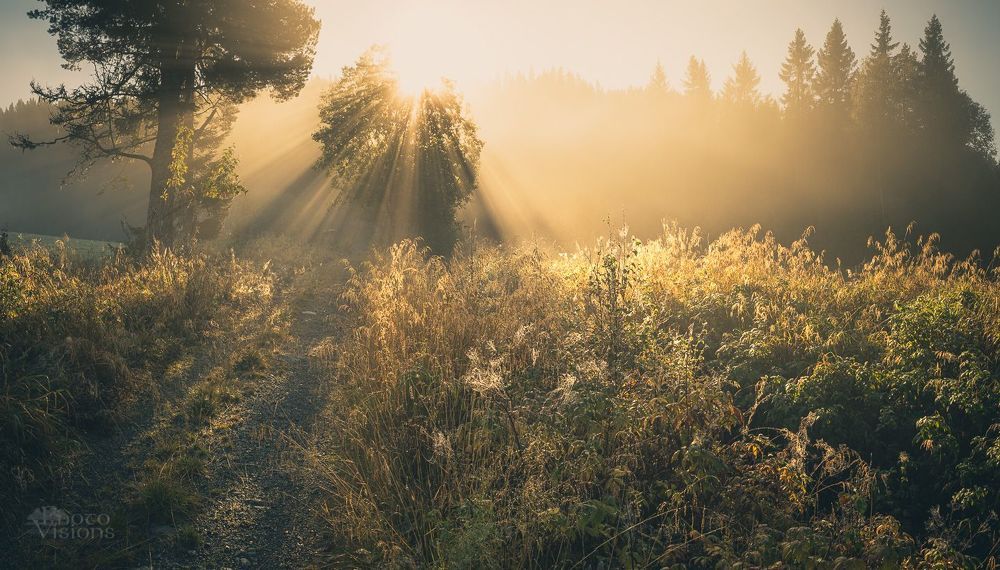 Morning light show