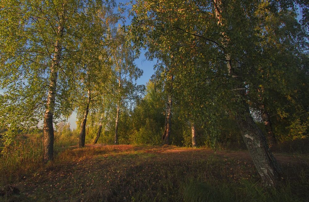 Сентябрь
