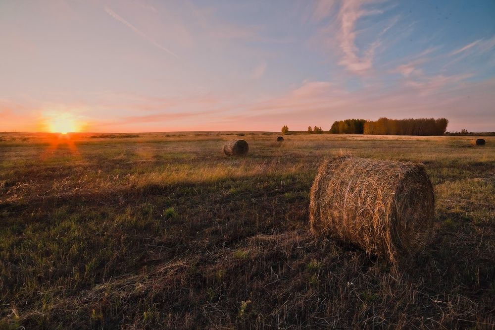 Осенняя прелюдия