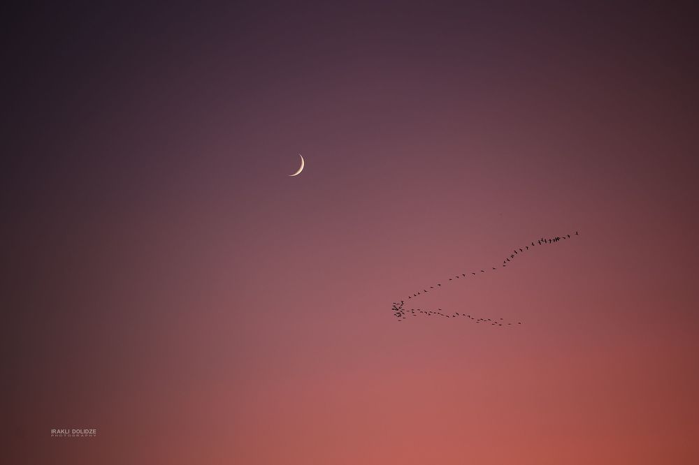 Today's Moon
