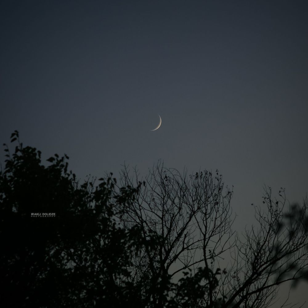 Today's Moon