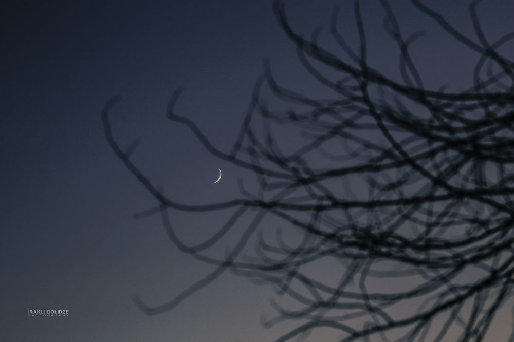 Today's Moon