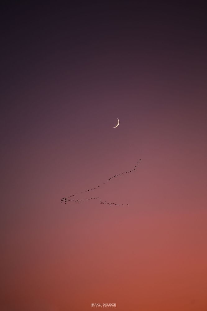 Today's Moon