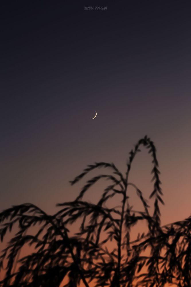 Today's Moon