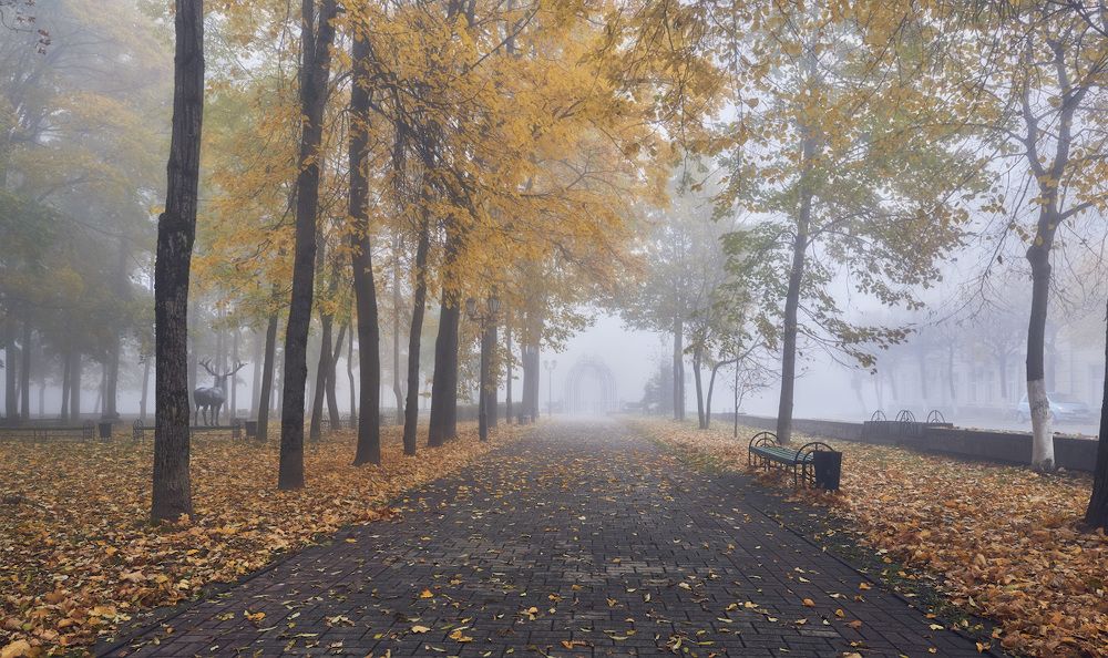 Осенью в парке...